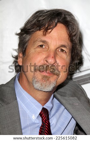 LOS ANGELES - OCT 16:  Peter Farrelly at the 2014 Media Access Awards at Paley Center For Media on October 16, 2014 in Beverly Hills, CA
