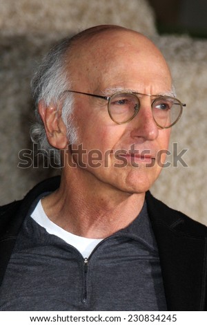 LOS ANGELES - NOV 3:  Larry David at the Dumb and Dumber To Premiere at the Village Theater on November 3, 2014 in Los Angeles, CA