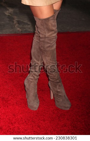 LOS ANGELES - NOV 3:  Melissa Bolona at the Dumb and Dumber To Premiere at the Village Theater on November 3, 2014 in Los Angeles, CA