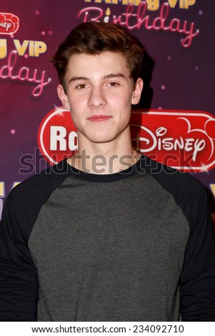 LOS ANGELES - NOV 22:  Shawn Mendes at the Radio Disney\'s Family VIP Birthday at the Club Nokia on November 22, 2014 in Los Angeles, CA
