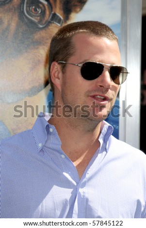 LOS ANGELES - JUL 25:  Chris O'Donnell arrives at  the 