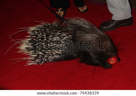 LOS ANGELES - JUN 17:  Porcupine arrives at the 38th Annual Daytime Creative Arts & Entertainment Emmy Awards at Westin Bonaventure Hotel on June 17, 2011 in Los Angeles, CA