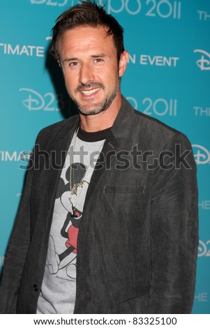 LOS ANGELES - AUG 19:  David Arquette at the D23 Expo 2011 at the Anaheim Convention Center on August 19, 2011 in Anaheim, CA
