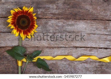 Decorative sunflower yellow flower with a beautiful ribbon on the old wooden background