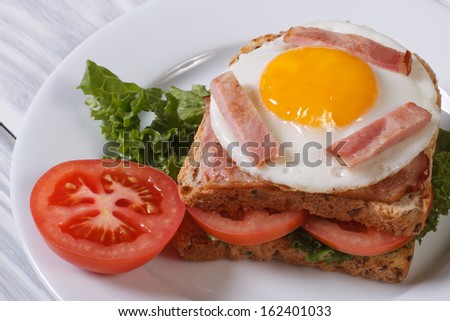 sandwich with a fried egg, bacon and tomatoes