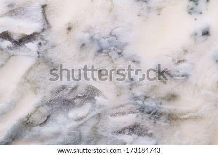 Blue cheese texture closeup. macro. mold