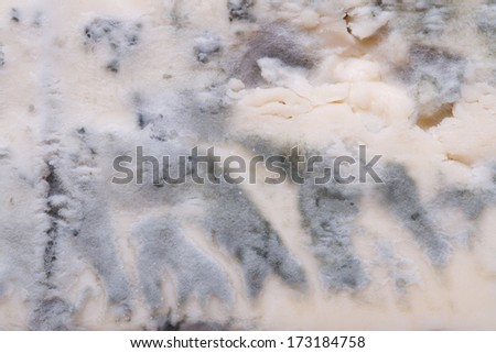 Blue cheese texture closeup. Macro Dorblu