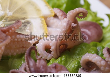 little octopus with lemon slices and lettuce macro horizontal.