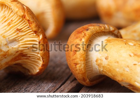 texture yellow chanterelle mushrooms on a wooden table macro horizontal