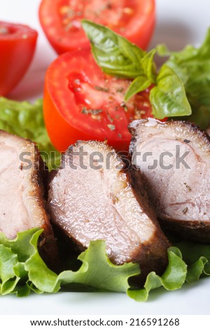 baked duck meat fillet with vegetables closeup on a white plate vertical