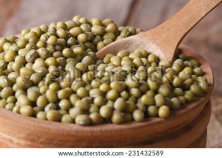Raw beans mung in a wooden dish macro. horizontal