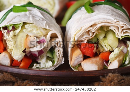 Pita bread roll with chicken and vegetables on a plate macro, horizontal