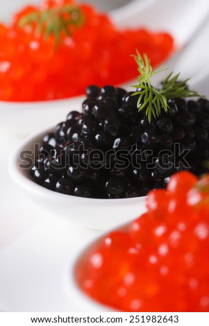 beautiful food. Delicacy black and red caviar macro in white spoons. Vertical