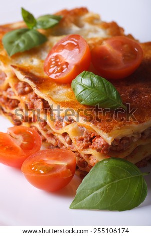 A piece of lasagna with fresh basil and tomatoes on a white plate. Vertical close-up