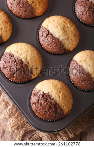 beautiful two-tone chocolate muffins in baking dish closeup, vertical view from above