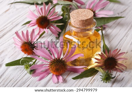 Fragrant medical tincture of Echinacea purpurea closeup in a glass bottle. horizontal