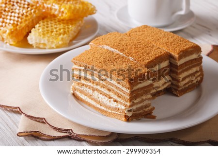 Beautiful close-up of honey cake on a plate and honeycomb. horizontal