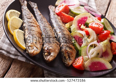 Mediterranean cuisine: grilled sardines with fresh vegetable salad close-up on a plate. horizontal