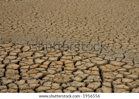 Cracked dry mud in Gironde, France