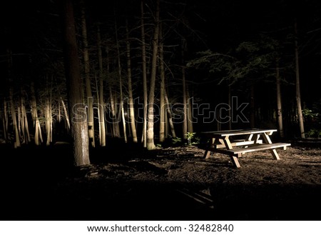 Dark Camp Site with Picnic Table in the Light