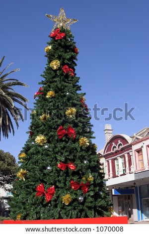 Christmas Tree In Summer, Manly, Sydney, Australia