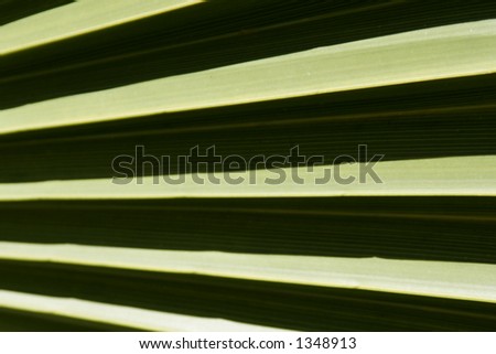 Leaf Structure, Background