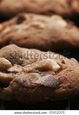 Cookie Biscuits With White Chocolate And Nuts On Oven Rack