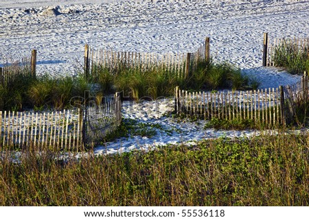stock-photo-beach-sand-sea-grass-and-fences-landscape-55536118.jpg