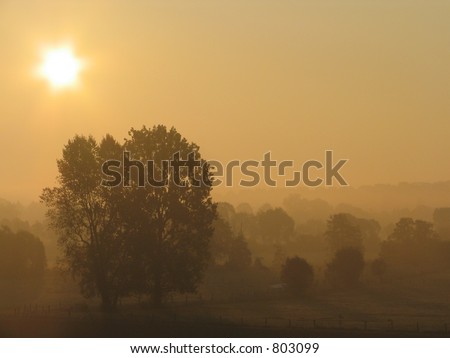 Sunrise over misty valley