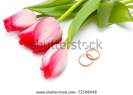 stock photo Beautiful spring tulips and wedding rings Postcard