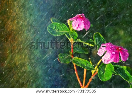 summer flower  with sprinkler spraying water