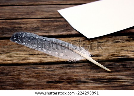feather on a wooden table