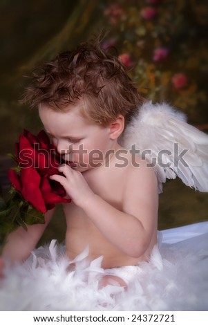 Little Angel Looking at Flowers sitting in feathers