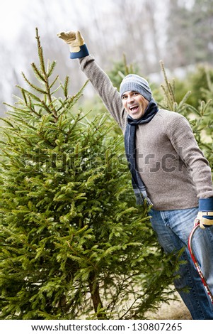 Man at cut your own Christmas tree farm showing tall spruce