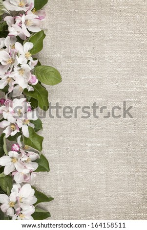 Border of pink apple blossoms row with linen background