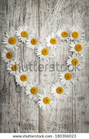 Heart shape of oxeye daisies on distressed wood background