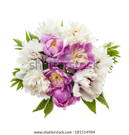 Bouquet of fresh peony flowers isolated on white background from above
