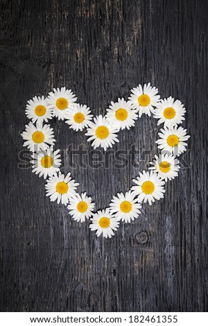 Heart shape of oxeye daisies on dark distressed wood background
