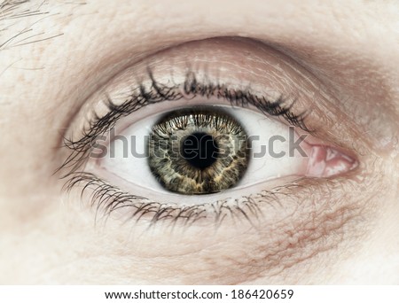 Macro closeup of male eye with eyelid eyelashes and interesting iris pattern