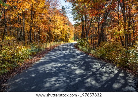 Autumn road with long shadows in colorful fall forest. Algonquin Provincial park, Ontario, Canada.