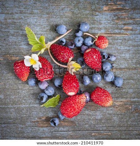 Fresh small wild strawberries and blueberries on old blue wooden background square format
