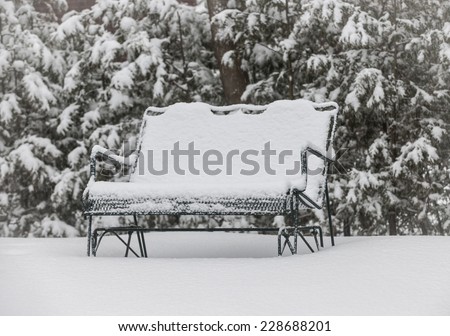 Metal bench covered with snow in winter park
