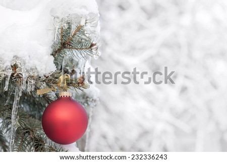 Red Christmas ornament hanging on snow covered spruce tree outside with copy space