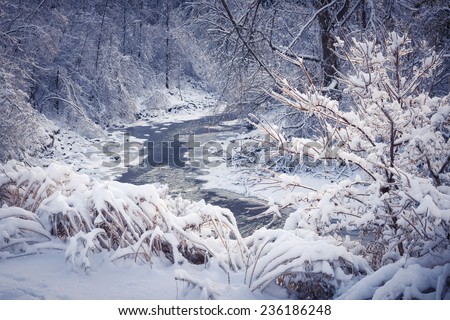 Winter landscape of snow covered forest with icy river after snowfall. Ontario, Canada.