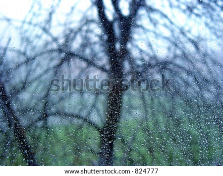 A window covered in rain drops with a silhouette of a tree behind it