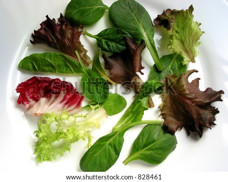 Baby Salad Greens
