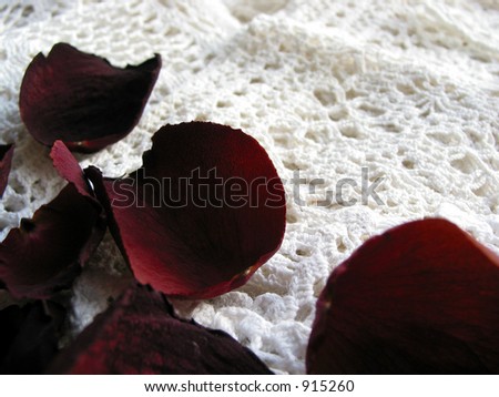 Vintage lace with dry rose petals, closeup