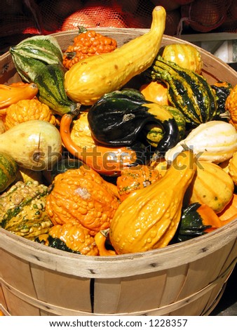 Colorful gourds in a basket