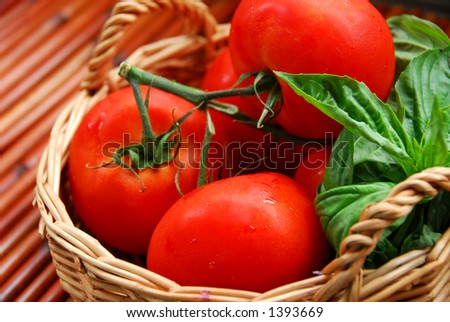 Tomatoes and basil in a basket