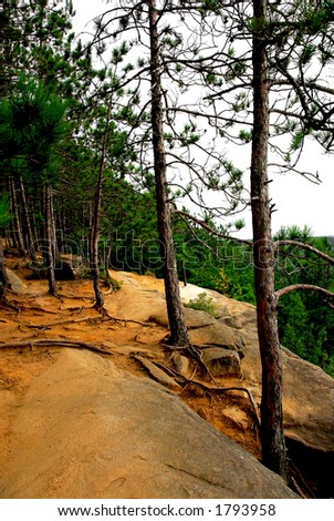 Forest path on pine cliffs in Algonquin provincial park, Canada